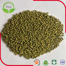 2016 Crop Green Mung Beans